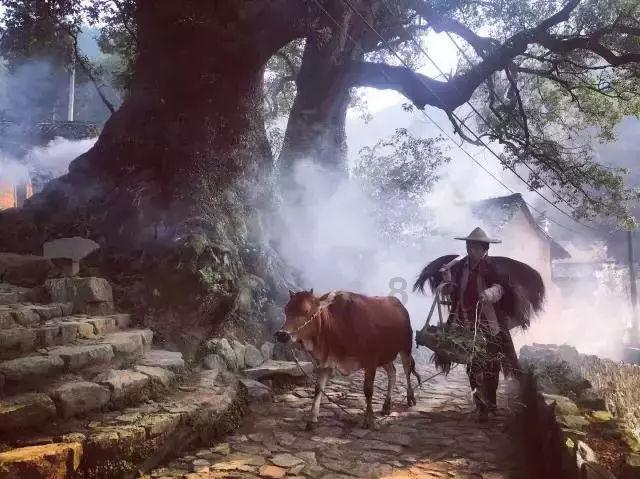 天龙八部手游